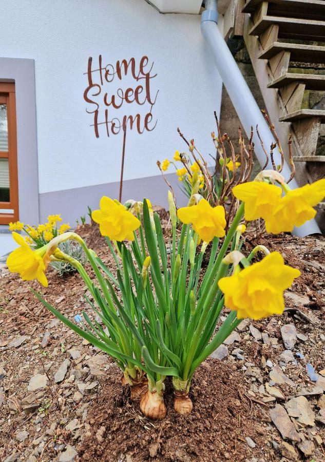 Enscherange Daffodils 빌라 외부 사진